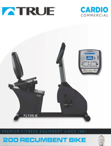 TRUE C200 Recumbent Bike