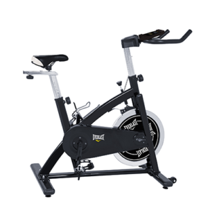 everlast vector exercise bike