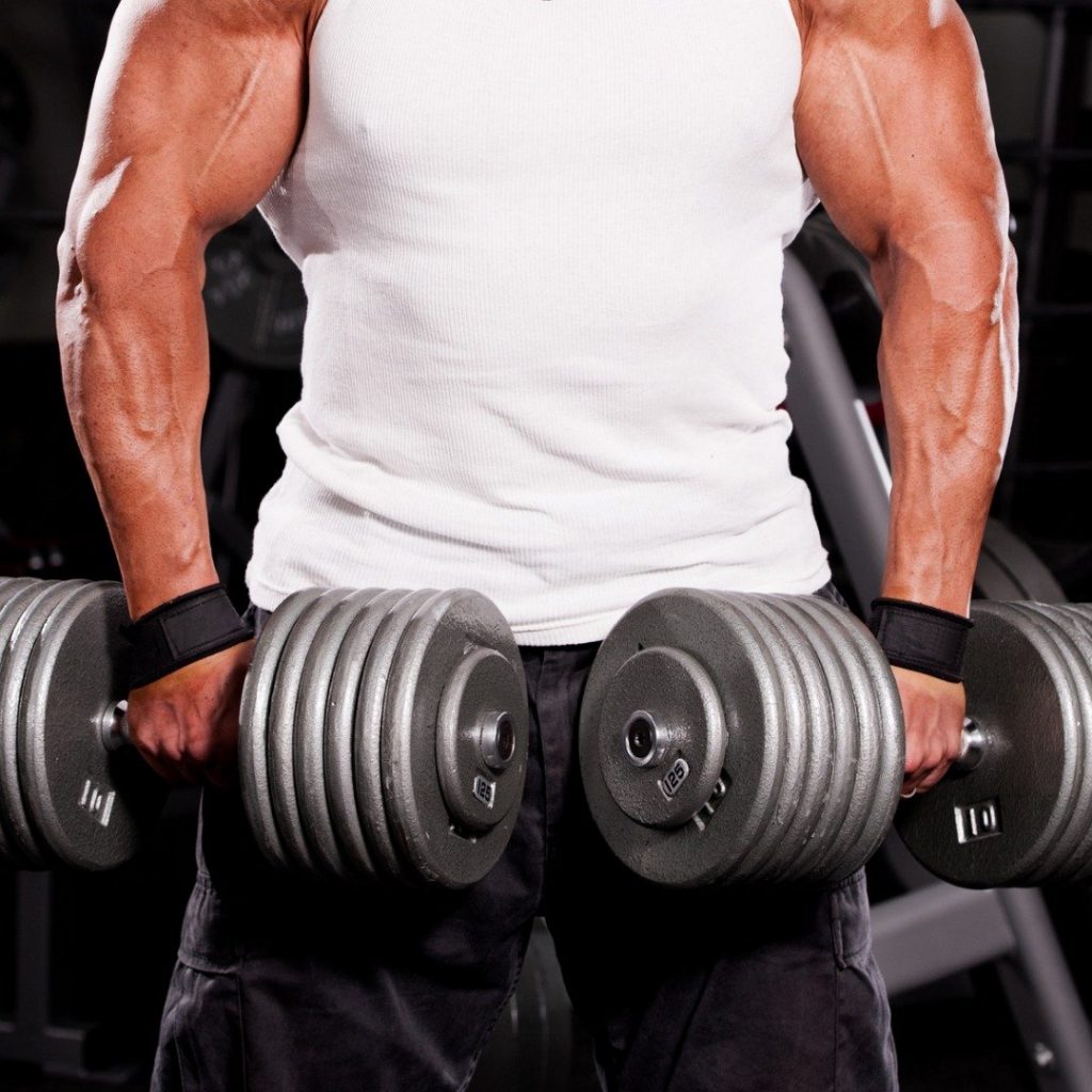 Grizzly Leather 1.5″ Wrist Straps Physique Fitness Stores